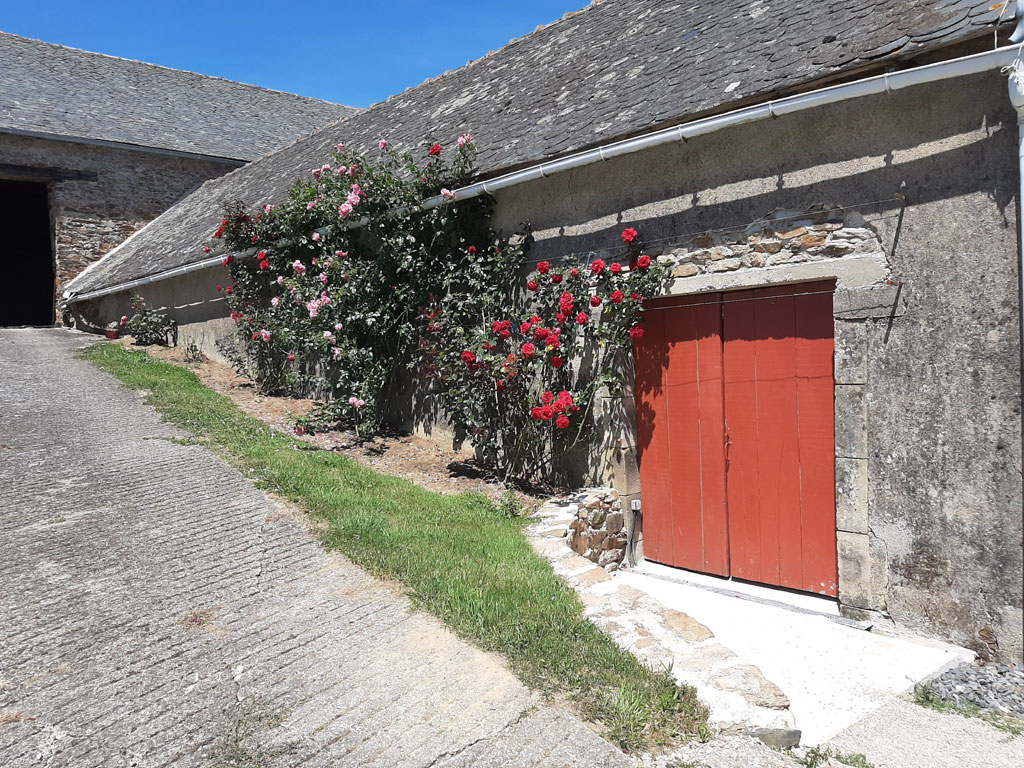 Le séjour avec sa grande table