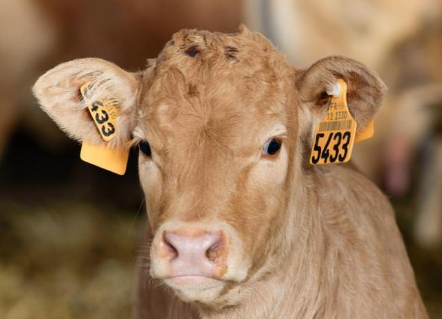 Ferme pédagogique en Aveyron